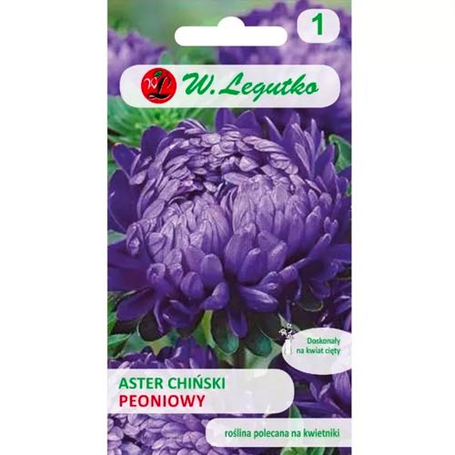 Peonienaster violett Legutko interface.image 1 interface.art 78528