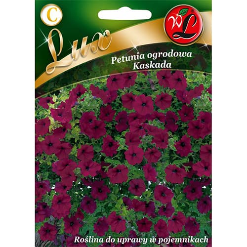 Petunie Kaskada purpurrot interface.art Bild 1 Petunie Kaskada purpurrot interface.image 1 interface.art 78673
