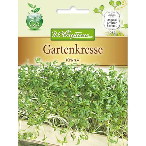 Gartenkresse Krause interface.art Bild 1 Gartenkresse Krause interface.image 1 interface.art 78856