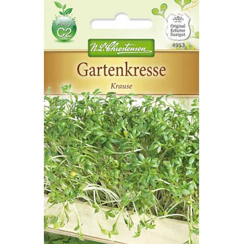 Gartenkresse Krause interface.art Bild 1 Gartenkresse Krause interface.image 1 interface.art 78857