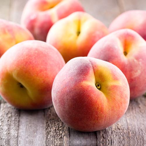 Pfirsich Platybest interface.image 1 interface.art 4300