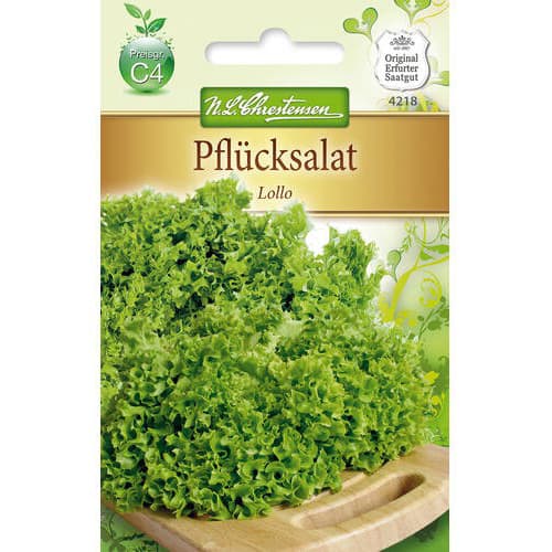 Pflücksalat Lollo interface.art Bild 1 Pflücksalat Lollo interface.image 1 interface.art 78778