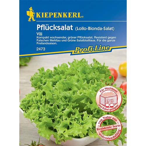 Pflücksalat Vili interface.art Bild 1 Pflücksalat Vili interface.image 1 interface.art 96649