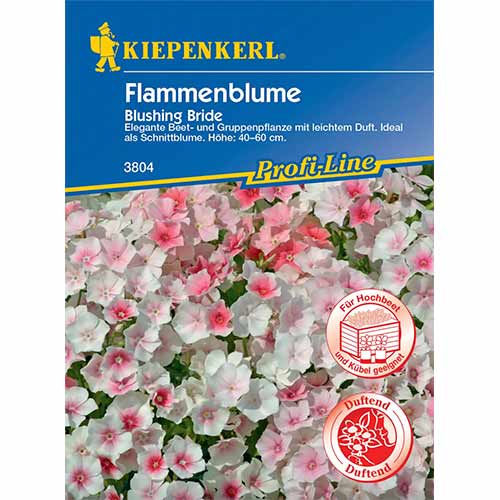 Flammenblume Blushing Bride interface.art Bild 1 Flammenblume Blushing Bride interface.image 1 interface.art 96535