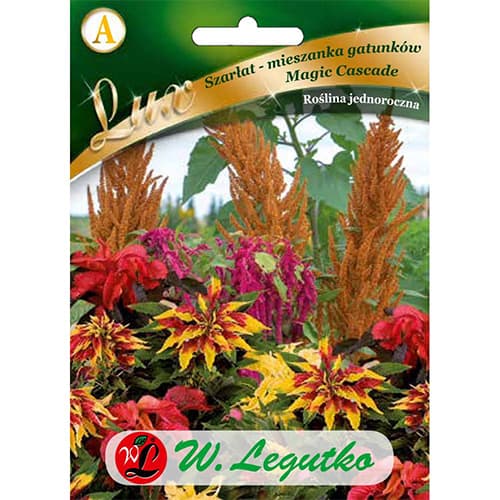 Popp - Amaranth Magic Cascade Mischung interface.art Bild 1 Popp - Amaranth Magic Cascade Mischung interface.image 1 interface.art 86758