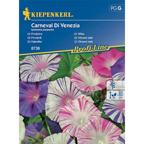 Prunkwinde Carnevale di Venezia interface.art Bild 1 Prunkwinde Carnevale di Venezia interface.image 1 interface.art 86267