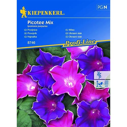 Prunkwinde Picotee mix interface.art Bild 1 Prunkwinde Picotee mix interface.image 1 interface.art 86270