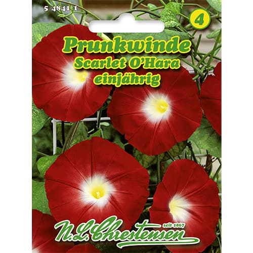 Prunkwinde Scarlet O`Hara interface.art Bild 1 Prunkwinde Scarlet O`Hara interface.image 1 interface.art 86179