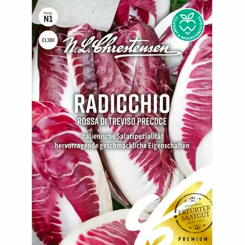 Radicchio Rossa di Treviso precoce Chrestensen  interface.art Bild 1 Radicchio Rossa di Treviso precoce Chrestensen  interface.image 1 interface.art 50053