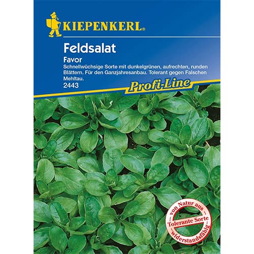 Feldsalat Favor interface.art Bild 1 Feldsalat Favor interface.image 1 interface.art 86449