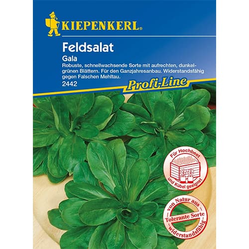 Feldsalat Gala interface.art Bild 1 Feldsalat Gala interface.image 1 interface.art 86450