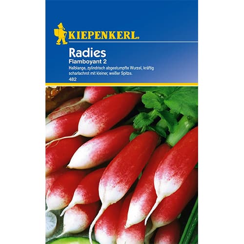 Radies Flamboyant 2 interface.art Bild 1 Radies Flamboyant 2 interface.image 1 interface.art 96650
