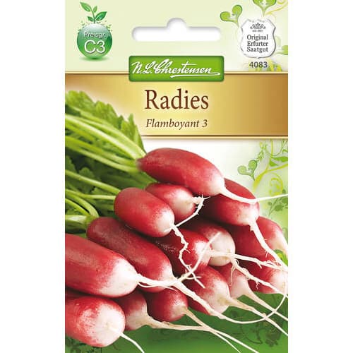 Radies Flamboyant 3 interface.art Bild 1 Radies Flamboyant 3 interface.image 1 interface.art 78741