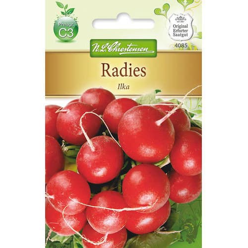 Radies Ilka interface.art Bild 1 Radies Ilka interface.image 1 interface.art 78742