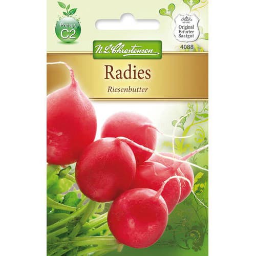 Radies Riesenbutter interface.art Bild 1 Radies Riesenbutter interface.image 1 interface.art 78743
