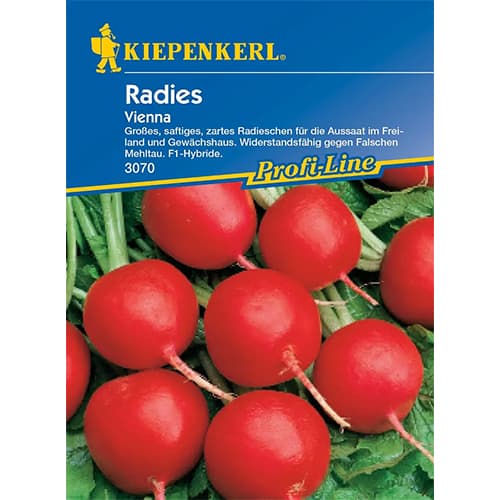 Radies Vienna F1 interface.art Bild 1 Radies Vienna F1 interface.image 1 interface.art 86512