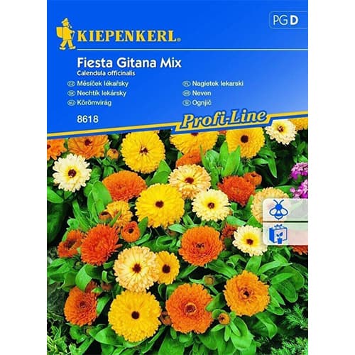 Ringelblumen Fiesta Gitana interface.image 1 interface.art 96519
