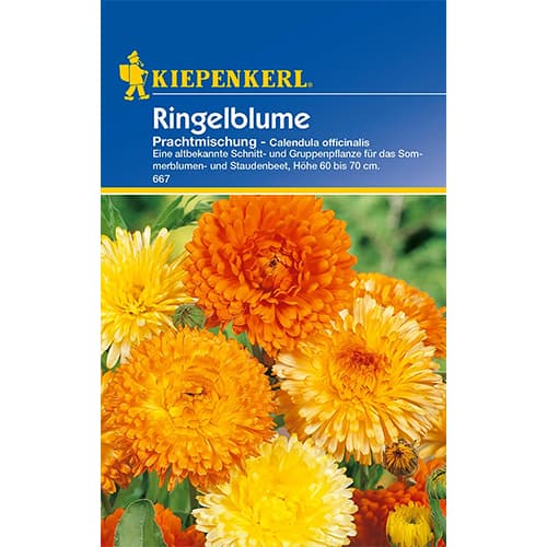 Ringelblume Prachtmischung interface.art Bild 1 Ringelblume Prachtmischung interface.image 1 interface.art 77411