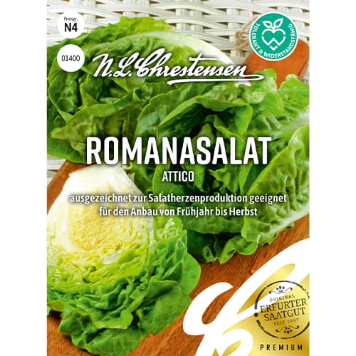Romanasalat Attico interface.art Bild 1 Romanasalat Attico interface.image 1 interface.art 86092