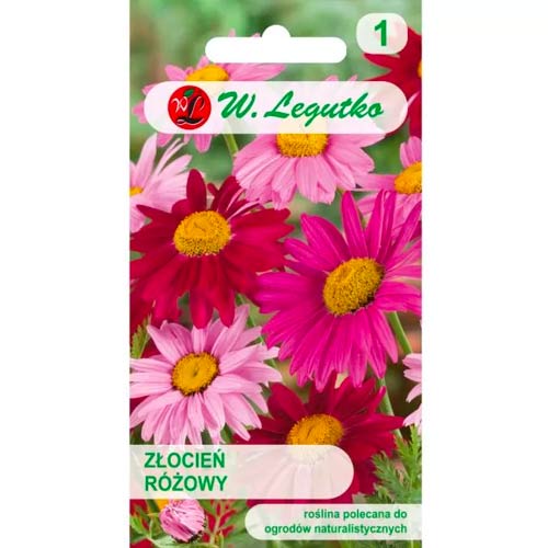 Rosengeißblatt, mischung Legutko interface.image 1 interface.art 50125