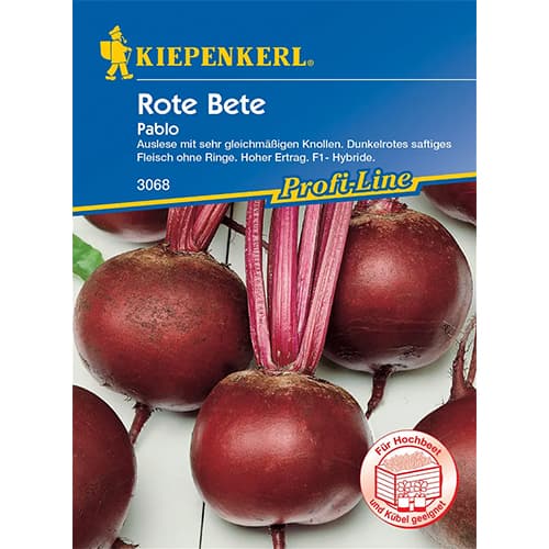Rote Bete Pablo F1 interface.art Bild 1 Rote Bete Pablo F1 interface.image 1 interface.art 86518