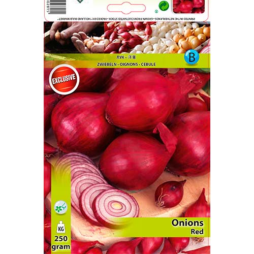 Rote Zwiebeln interface.art Bild 1 Rote Zwiebeln interface.image 1 interface.art 70495