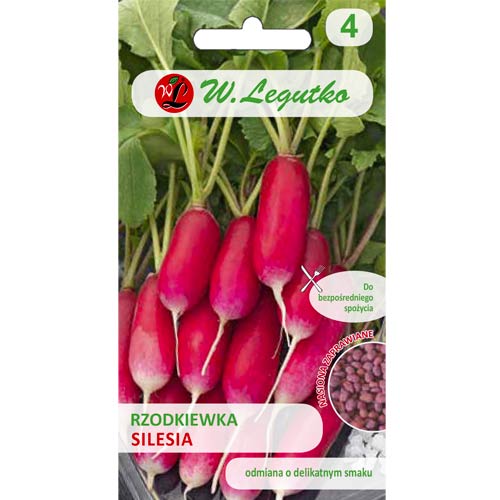 Roter Rettich Silesia Legutko interface.image 1 interface.art 50140