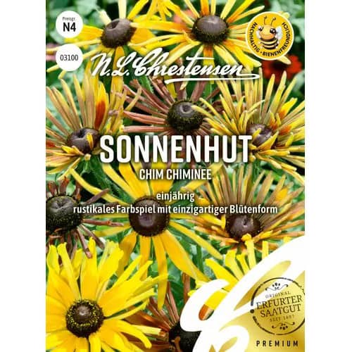 Sonnenhut Chim Chiminee interface.art Bild 1 Sonnenhut Chim Chiminee interface.image 1 interface.art 96452