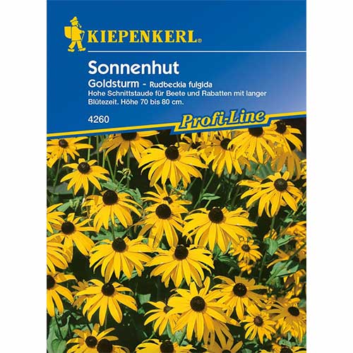 Sonnenhut Rudbeckia Goldsturm interface.art Bild 1 Sonnenhut Rudbeckia Goldsturm interface.image 1 interface.art 96583