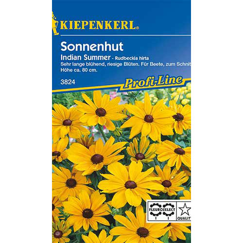 Sonnenhut Rudbeckia Indian Summer interface.art Bild 1 Sonnenhut Rudbeckia Indian Summer interface.image 1 interface.art 86330