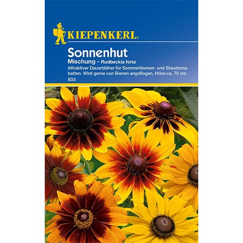 Sonnenhut Mischung interface.art Bild 1 Sonnenhut Mischung interface.image 1 interface.art 77434