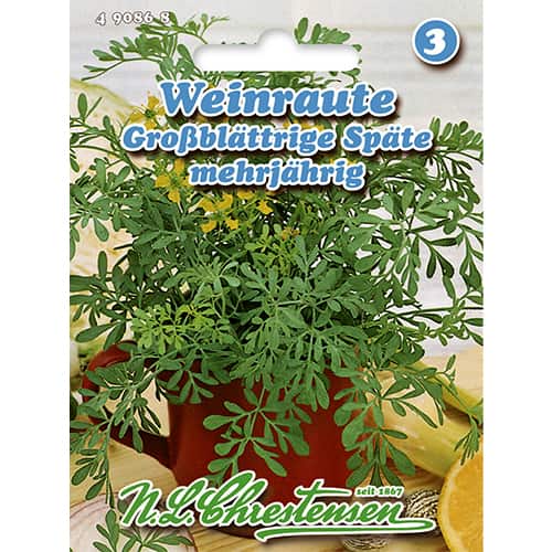 Weinraute Großblättrige Späte interface.image 1 interface.art 86022