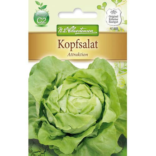 Kopfsalat Attraktion interface.art Bild 1 Kopfsalat Attraktion interface.image 1 interface.art 78768