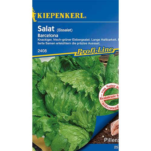 Eissalat Barcelona interface.art Bild 1 Eissalat Barcelona interface.image 1 interface.art 86446