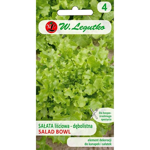 Salat Bowl interface.art Bild 1 Salat Bowl interface.image 1 interface.art 78500