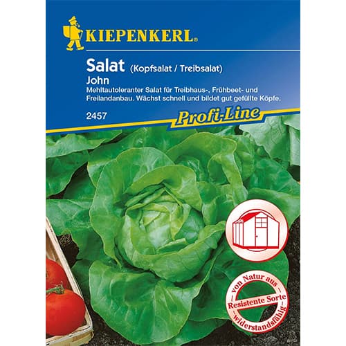 Kopfsalat John interface.art Bild 1 Kopfsalat John interface.image 1 interface.art 96626