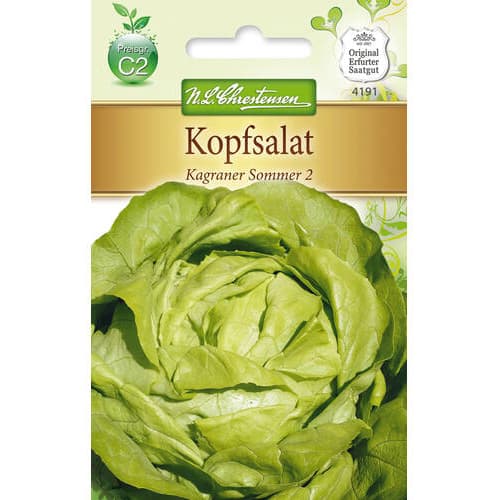 Kopfsalat Kagraner Sommer 2 Chrestensen interface.art Bild 1 Kopfsalat Kagraner Sommer 2 Chrestensen interface.image 1 interface.art 78769