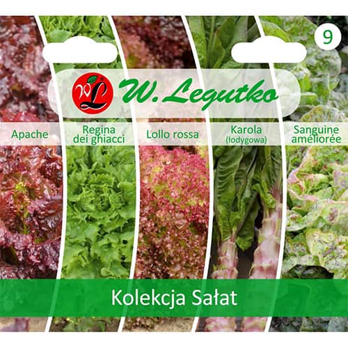 Salat - Kollektion interface.art Bild 1 Salat - Kollektion interface.image 1 interface.art 96843