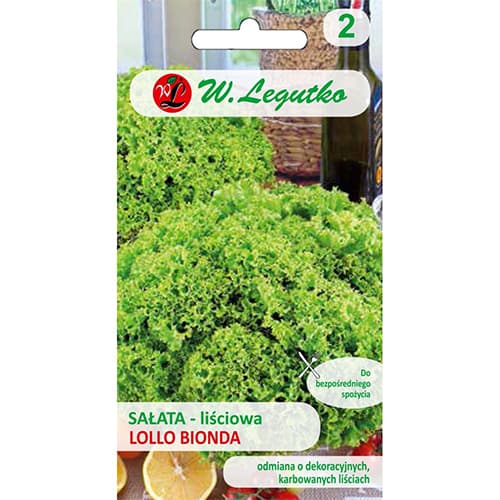 Salat Lollo Bionda interface.art Bild 1 Salat Lollo Bionda interface.image 1 interface.art 86902