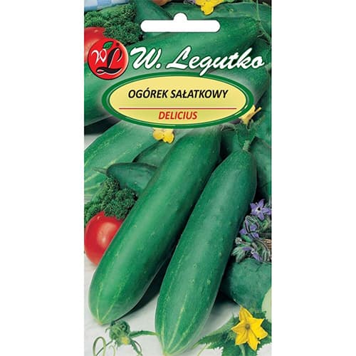 Salatgurke Delicius interface.art Bild 1 Salatgurke Delicius interface.image 1 interface.art 78491