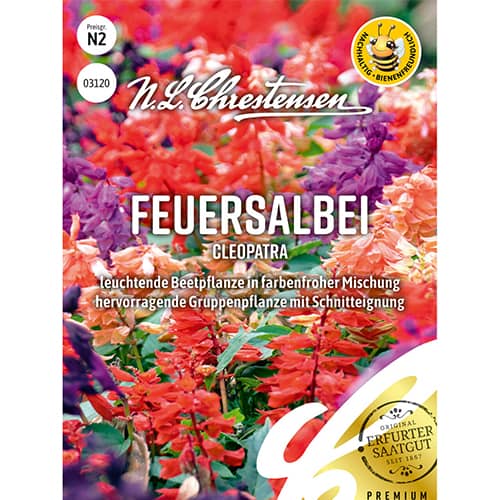 Feuersalbei Cleopatra interface.art Bild 1 Feuersalbei Cleopatra interface.image 1 interface.art 86150