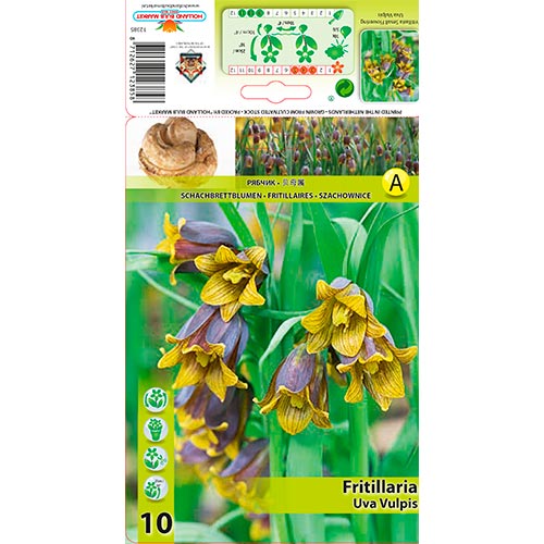 Kaiserkrone (Schachbrett) Uva Vulpis interface.image 1 interface.art 70245