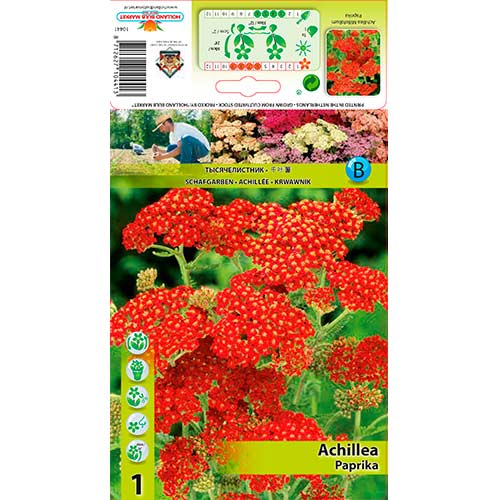 Schafgarbe Paprika interface.art Bild 1 Schafgarbe Paprika interface.image 1 interface.art 76154