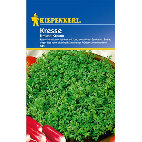 Kresse Krause interface.image 1 interface.art 86467