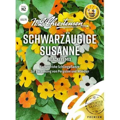 Schwarzäugige Susanne Chrestensen interface.art Bild 1 Schwarzäugige Susanne Chrestensen interface.image 1 interface.art 87355
