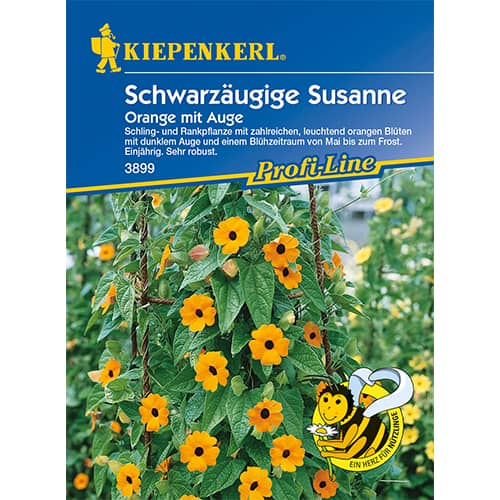 Thunbergia Orange mit Auge interface.image 1 interface.art 86311