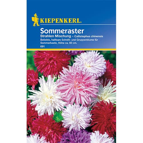 Sommeraster Strahlen Mischung Kiepenkerl interface.art Bild 1 Sommeraster Strahlen Mischung Kiepenkerl interface.image 1 interface.art 50063