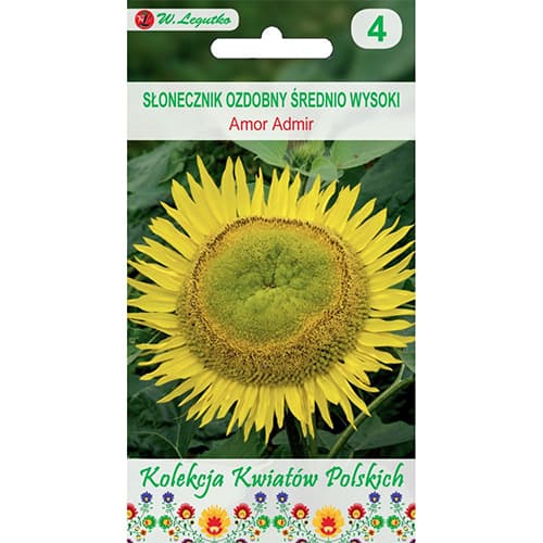Sonnenblume Amor Admir interface.art Bild 1 Sonnenblume Amor Admir interface.image 1 interface.art 86732