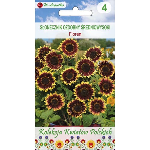 Sonnenblume Floren interface.art Bild 1 Sonnenblume Floren interface.image 1 interface.art 96750