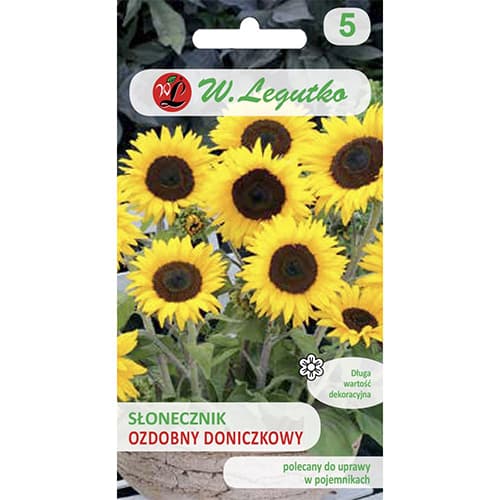 Sonnenblume Polino Cola interface.art Bild 1 Sonnenblume Polino Cola interface.image 1 interface.art 69627